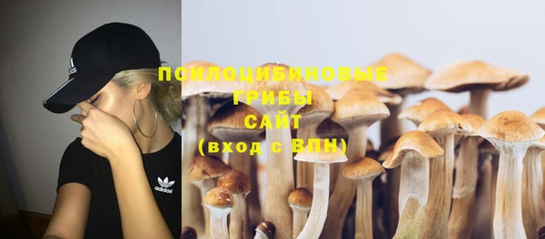 ПСИЛОЦИБИНОВЫЕ ГРИБЫ Алзамай