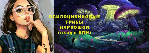ПСИЛОЦИБИНОВЫЕ ГРИБЫ Алзамай