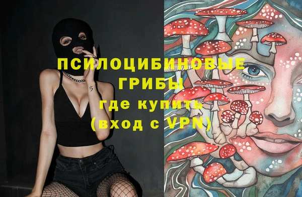 ПСИЛОЦИБИНОВЫЕ ГРИБЫ Алзамай