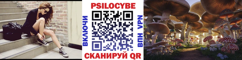 что такое наркотик  Рошаль  Галлюциногенные грибы мицелий 